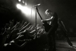ash pic1