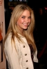 ashley benson picture1