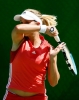 ashley harkleroad photo