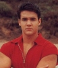 austin st  john image