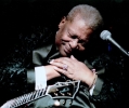 b b  king pic