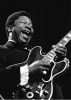 b b  king picture