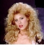 bambi woods picture