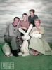 barbara billingsley picture
