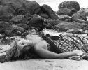 barbara bouchet picture