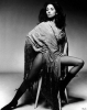 barbara parkins image