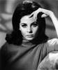 barbara parkins picture1