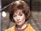barbara shelley photo2