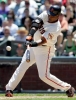 barry bonds image barry bonds image