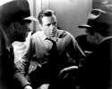 barton maclane picture3