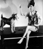 beatrice lillie image