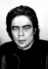 benicio del toro picture