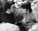 bernadette lafont pic