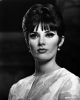 beverly adams pic
