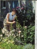 beverly archer pic1