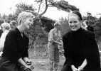 bibi andersson picture