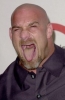 bill goldberg image