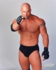 bill goldberg photo2