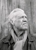 billy joe shaver img
