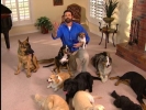 billy mays image2