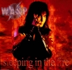blackie lawless pic