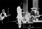 blondie image2