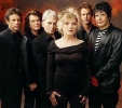 blondie picture2
