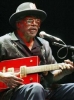 bo diddley picture