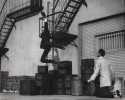 bob fosse picture3