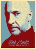 bob mould pic1