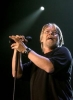 bob seger image2