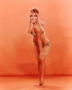 bobbi shaw pic