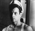 brad davis picture1