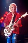 brad whitford