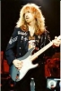 brad whitford image