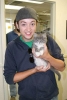 bradford anderson photo