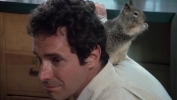 bradford dillman picture4