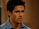 brandon beemer image