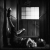 brandon boyd picture2