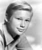 brandon de wilde image1
