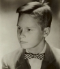 brandon de wilde pic