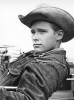 brandon de wilde picture1