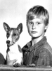 brandon de wilde picture3