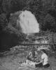 brenda marshall image