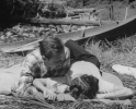 brenda marshall pic