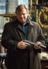 brendan gleeson picture1