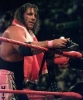 bret hart picture1