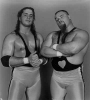 bret hart picture2