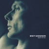 brett anderson image