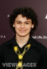 brett delbuono img